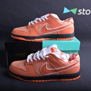 Concepts x Nike SB Dunk Low FD8776-800