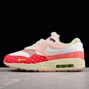 Nike Air Max 1 PRM Woman's Best Friend (W) DR2553-111