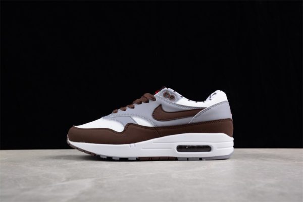 Nike Air Max 1 Premium Shima Shima (2023)FB8916-100