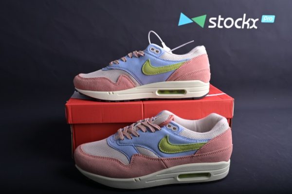 Nike Air Max 1 Light Madder Root Worn Blue DV3196-800