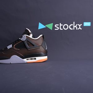 Air Jordan 4 WMNS   Starfish  (SP Batch) CW7183-100