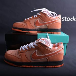Concepts x Nike SB Dunk Low(SP batch)FD8776-800