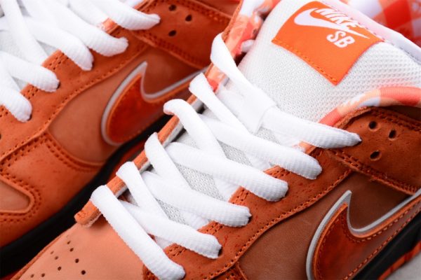 Concepts x Nike SB Dunk Low(SP batch)FD8776-800 - Image 3