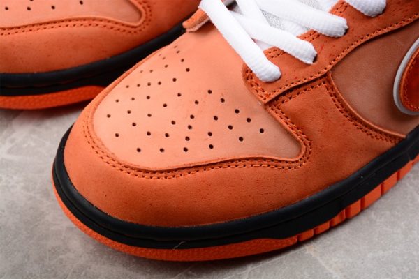 Concepts x Nike SB Dunk Low(SP batch)FD8776-800 - Image 4